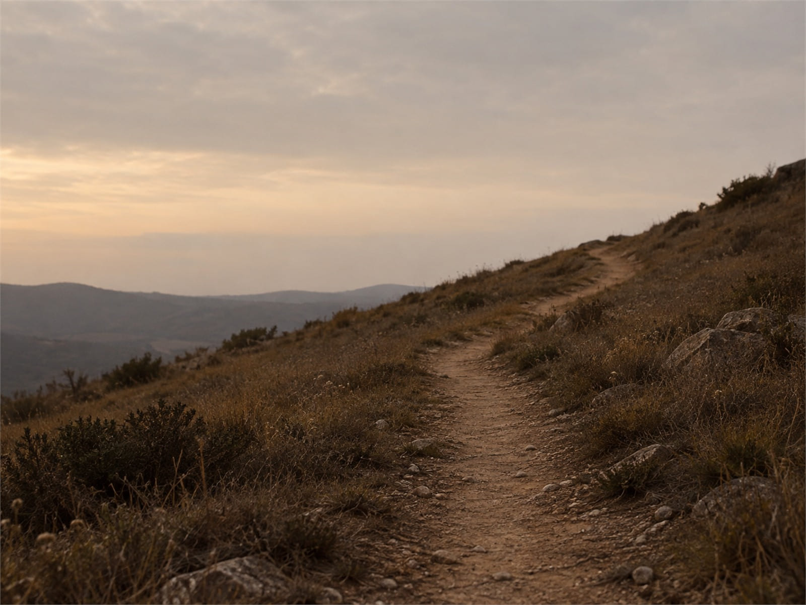 A narrow path climbing a bare hillside at dawn under a pale sky