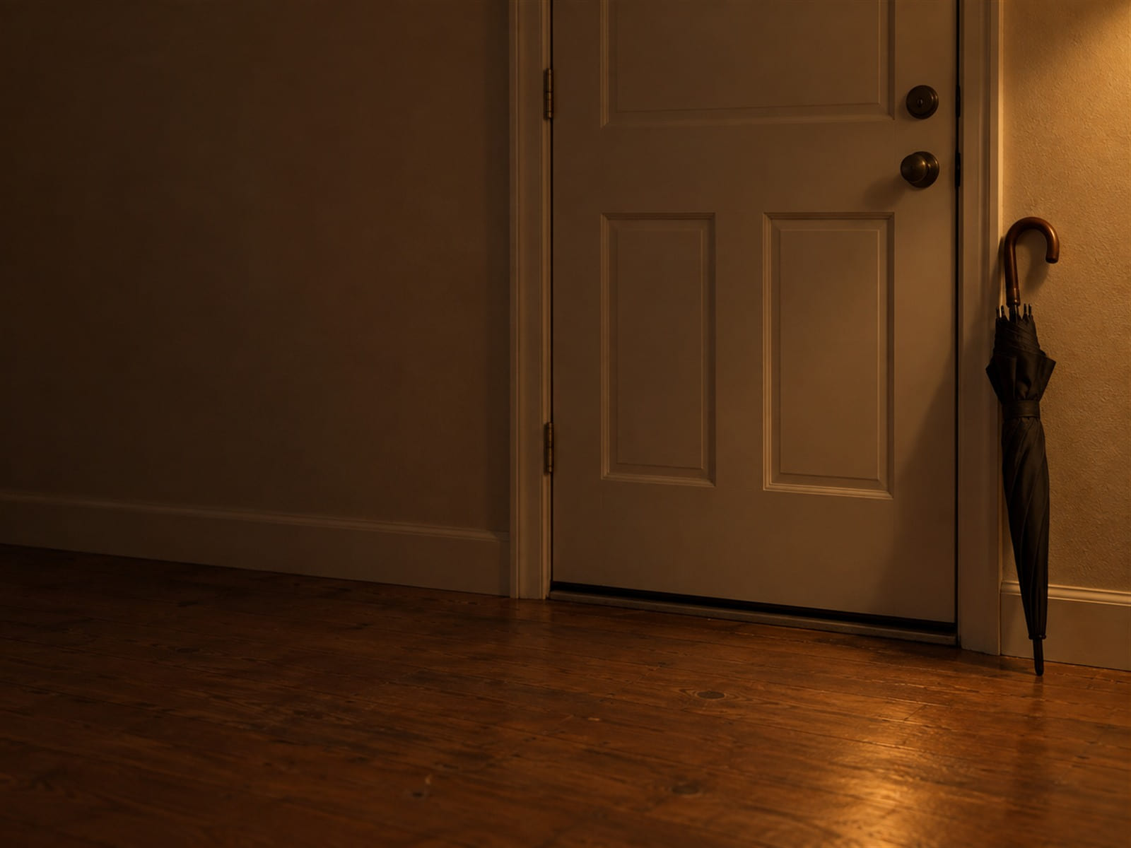 A folded umbrella leaning against a closed back door