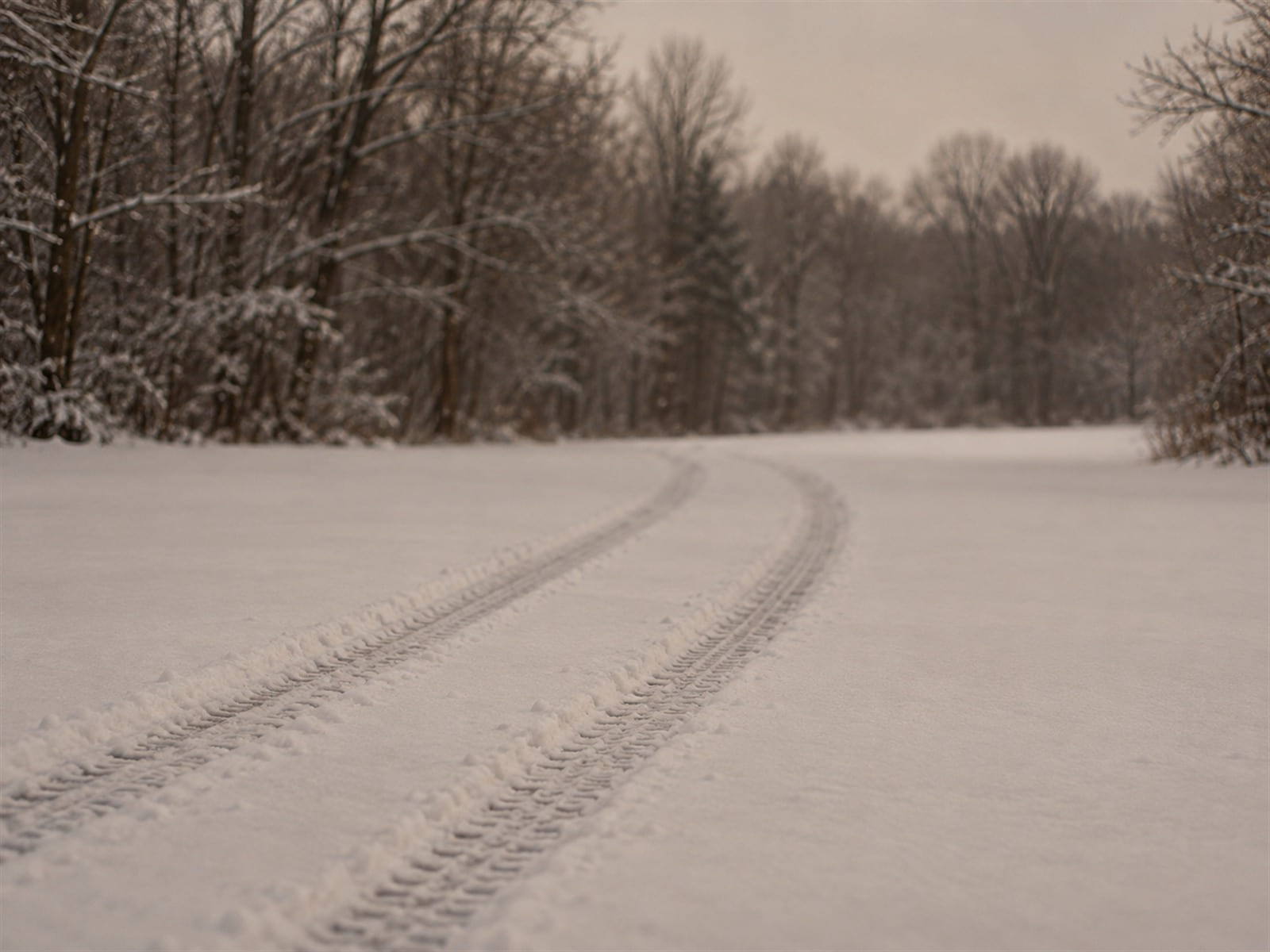 Tire tracks in fresh snow leading out of an empty driveway