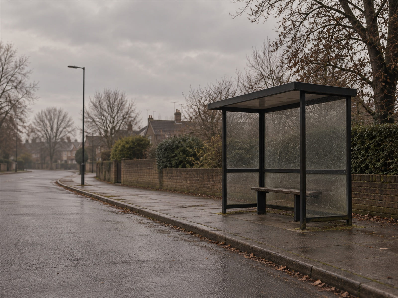 An empty bus shelter on a quiet street on a gray morning
