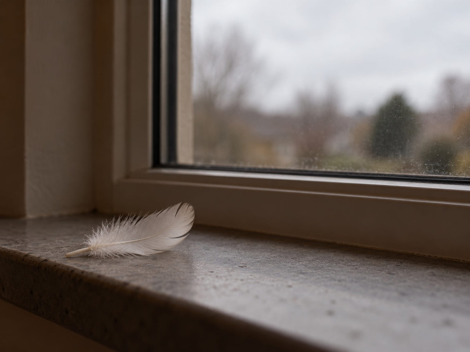 Una sola pluma blanca sobre el alféizar de piedra gris, con luz de la mañana