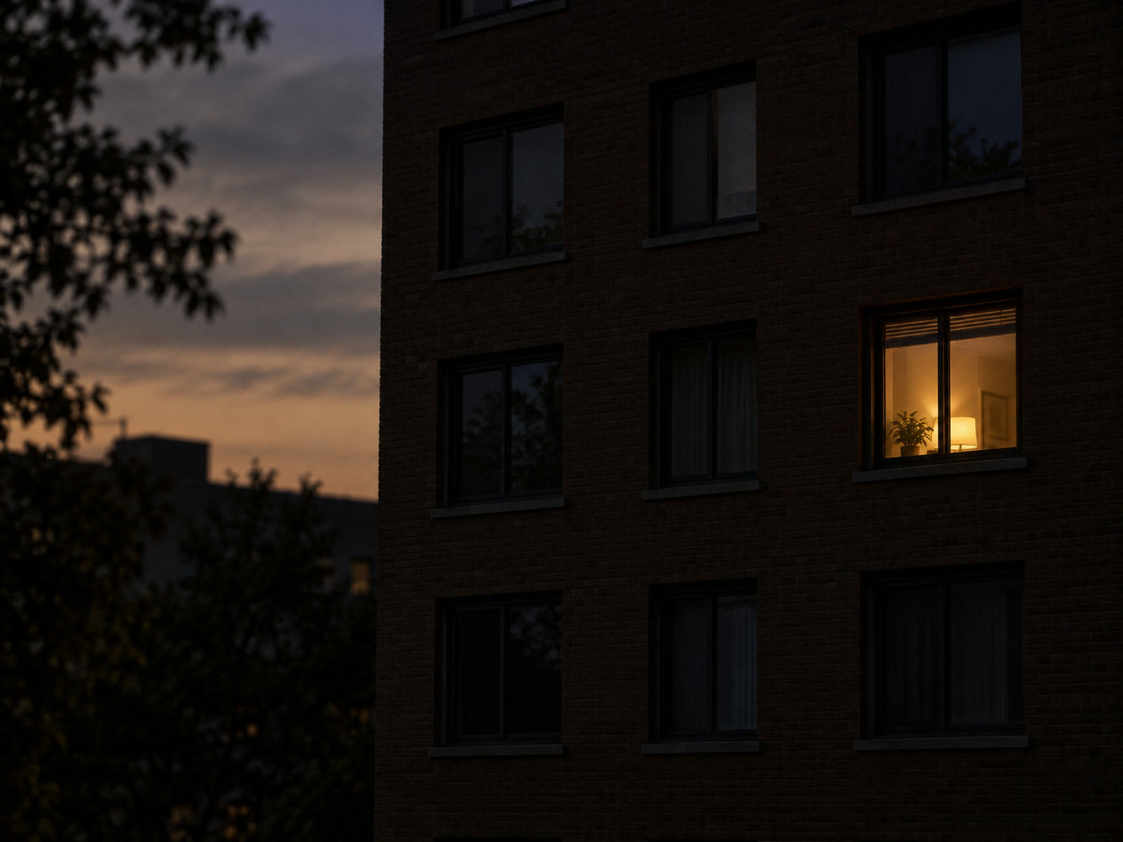 A single lit window in a row of dark apartment windows at dusk
