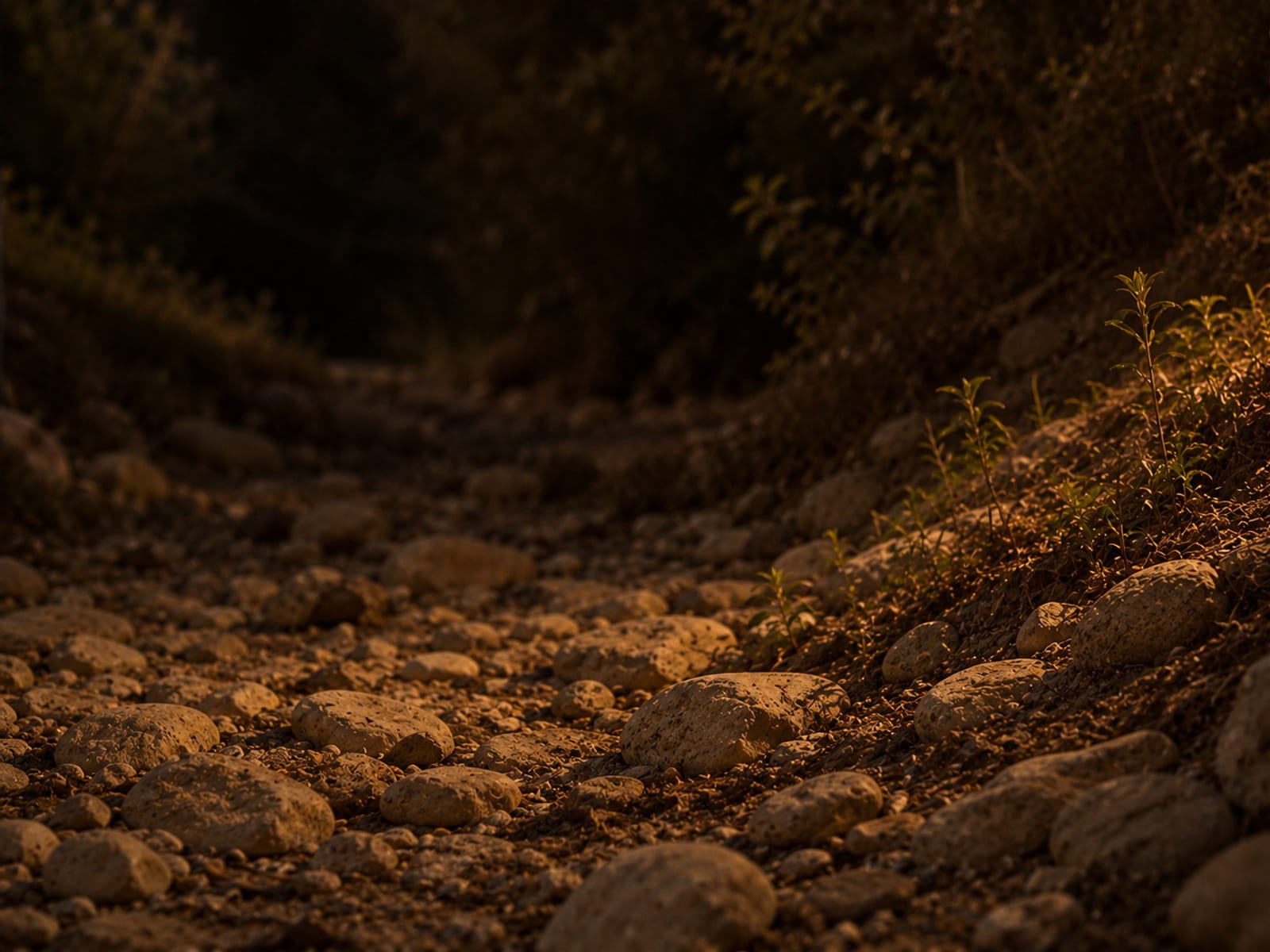A dry, stony riverbed between low banks in fading light